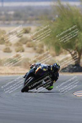 media/May-14-2023-SoCal Trackdays (Sun) [[024eb53b40]]/Turn 5 Tree of Life (1125am)/